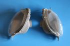 35600-24f0 Suzuki Hayabusa Left And Right Turn Signals