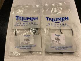 T2501386 Triumph Led Indicator Pair