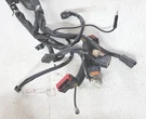 09 Harley Electra Glide Ultra Classic Main Wire Harness. Fixed Price $100.00.