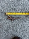 Original Oem Ford Thunderbird Fender Emblem V8 Bj 16229 16221. Fixed Price $11.00.