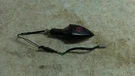 13 Kawasaki Front Right Turn Signal Blinker Indicator. Fixed Price $9.99.