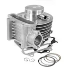 Tnt Cylinder Kit Znen ZN150T-7C 2014-2014. Fixed Price $60.47.