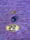 Genuine Honda Nos 33604-323-670 Stopper, Wink. Fixed Price $29.83.