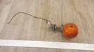 1982 Yamaha XJ750 Maxim Y307-1) Rear Right Side Turn Signal Blinker. Fixed Price $36.99.