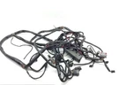 Main Engine Wiring Harness 00 Harley Electra Ultra Classic Efi Flhtcui 1599. Fixed Price $112.94.