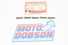 Kawasaki ZX750 KL650 ZX600 ZG1000 92009-1115 Tapping Screw (5 Pcs). Fixed Price $15.00.