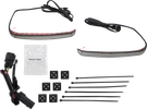Ciro Bag Blades Turn Signals 40068. Fixed Price $219.99.