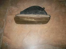85-92 Camaro Lower Bumper Parking Fog Light Lamp Turn Signal Original Gm. Fixed Price $24.00.