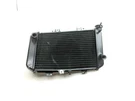 22 Bmw G310GS Radiator 17118558350. Fixed Price $54.92.