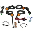 Polaris Rzr Led Turn Signal By Custom Dynamics Cd-utv-ts-kit. Fixed Price $134.25.