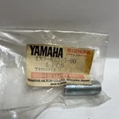 Yamaha 4X7-83325-00 Flasher Stay Bolt Genuine Oem Nos. Fixed Price $15.00.