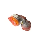 Moto Guzzi 30750601 Left Front / Right Rear Turn Signal Blinker Indicator. Fixed Price $40.00.