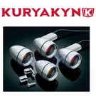 Kuryakyn Late Style Turn Signal Kit For 2006-2008 Harley Davidson XL1200L Cn. Fixed Price $299.99.