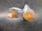 Yamaha QT50 Turn Signals Nos 3L8-8330-60 2330. Fixed Price $80.00.